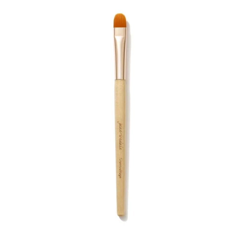 jane iredale camouflage brush Jane Iredale shop at skin type solutions